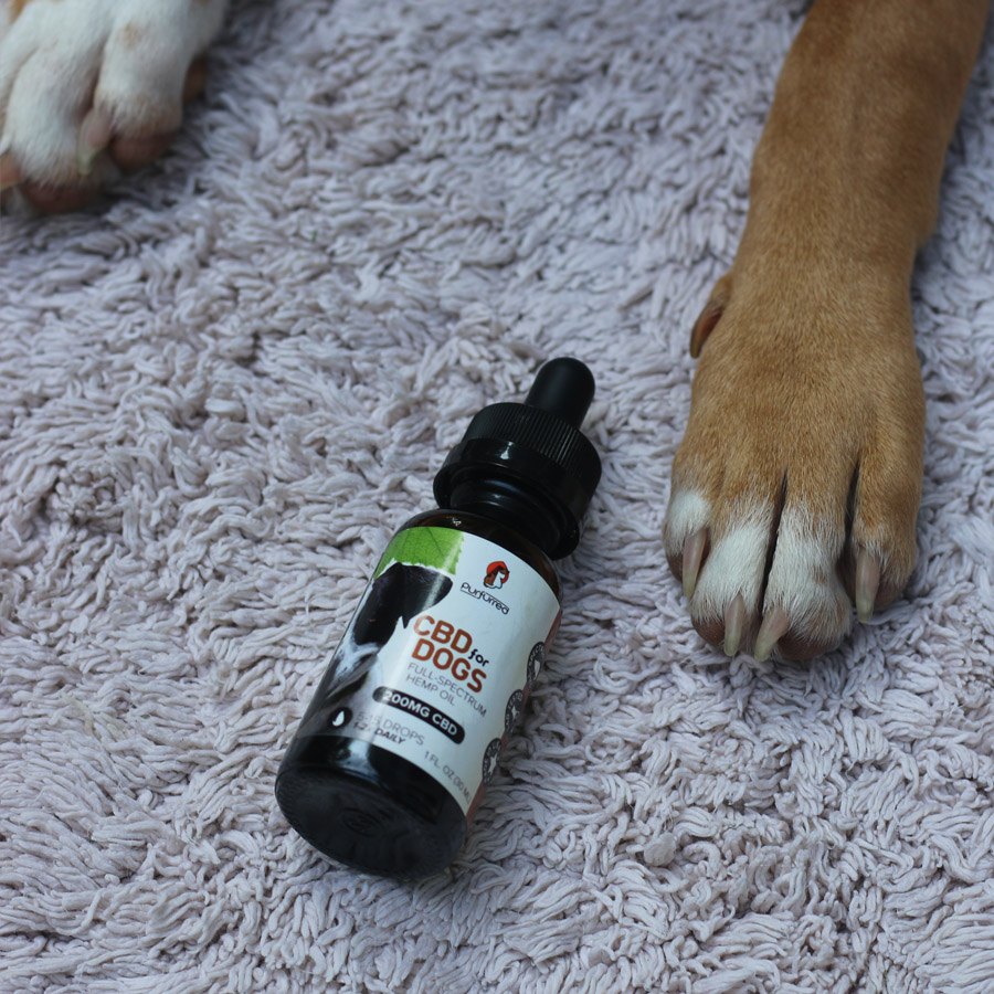 CBD for Dogs 1oz (200mg CBD) | Purfurred Pet