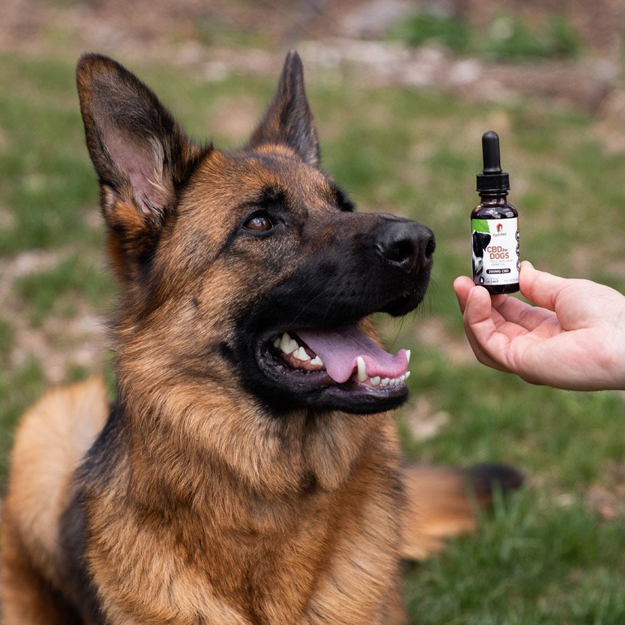 CBD for Dogs 1oz (200mg CBD) | Purfurred Pet